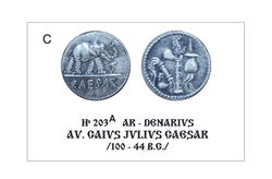 8.A _Catalogue_Roman_Denarius 203 A.jpg