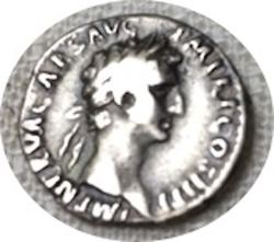 Nerva-Salus.jpg