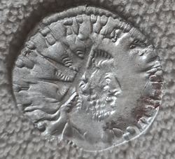 20230606_054603.jpg