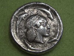 CIMG2713.JPG