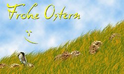 OSTERN-07.jpg (48.76 KiB) 3133 mal betrachtet OSTERN-07.jpg