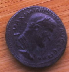 124.jpg