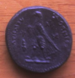 131.jpg