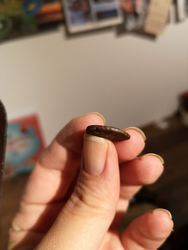 IMG_20231023_155154_187.jpg