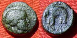 1 Seleukiden  Alexander I. Balas.jpg