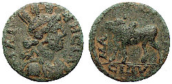 la_provinz_4%2C56g_21mm_.jpg