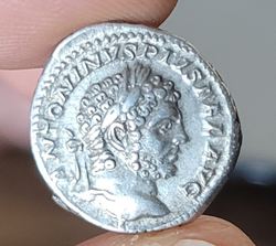 Caracalla-Serapis.jpg