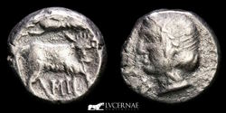 Lucernae Numismática OCTAVA VIII Los  14.jpg