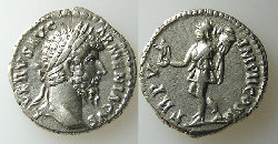 verus.jpg