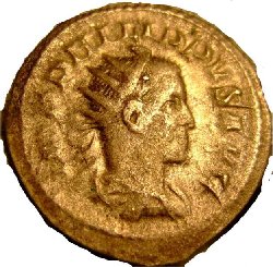 philippus1.jpg