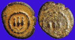 w2161.jpg