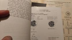 IMG_20240615_005348_692.jpg