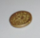 Prager5mm2.jpg
