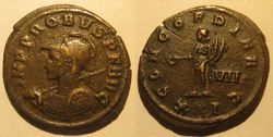 Probus_CONCORDIA_AVG.jpg