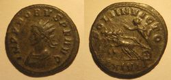 Probus_SOLI_INVICTO.jpg