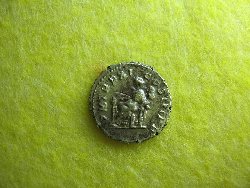 septimiluna 005.jpg