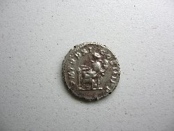septimiluna 017.jpg