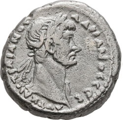 401703.jpg