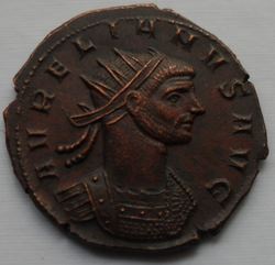 SDC14477-Aurelianus-1-VS.JPG