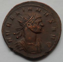 SDC14479-Aurelianus-2-VS.JPG
