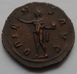SDC14482-Aurelianus-3-RS.JPG