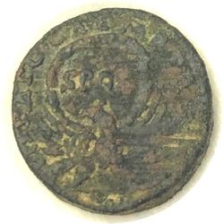 Severus-Rv copy.jpg