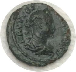 Severus3-Av copy.jpg