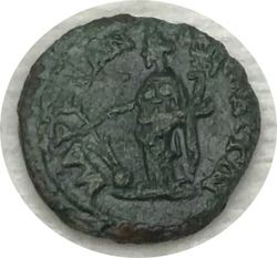 Severus3-Rv copy.jpg