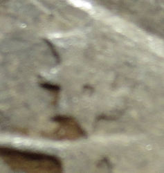 001 - Kopie.JPG