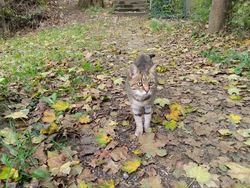IMG_20241006_095929_061-min.jpg
