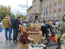 IMG_20241013_151520_540-min.jpg