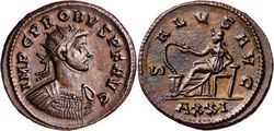 probus salus.jpg