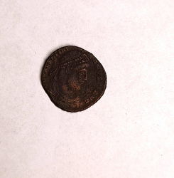 1730226521326.jpg