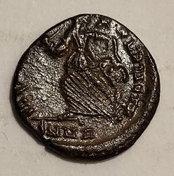 aro02.jpg