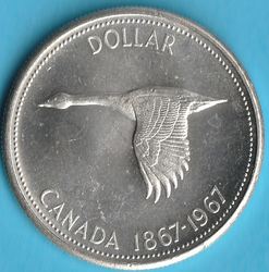 C 67 1.jpg