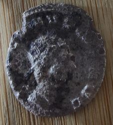 IMG20241106170205~2_1.jpg