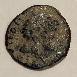 aro17.jpg