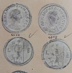 Dattari4729.jpg