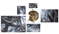 20.20.2 Rv. mikro.jpg (89.22 KiB) 1693 mal betrachtet 20.20.2 Rv. mikro.jpg