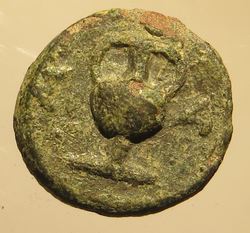 a11a.jpg