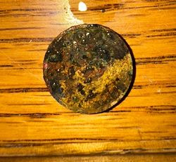 IMG_4271.jpeg