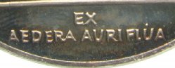 Umlaut.jpg