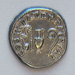 Bild10.jpg