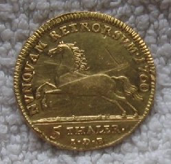 Rückseite Pferd.jpg