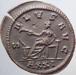 117.jpg