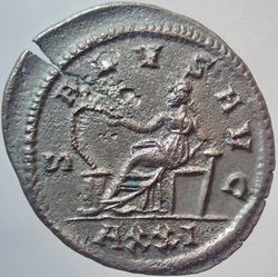 113.jpg