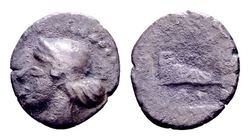 Larissa_BCD349.jpg