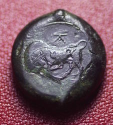 Tauromenium 44....jpg