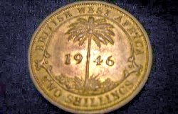 PICT0292.jpg