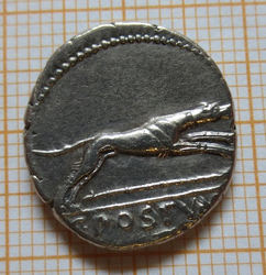 008 - Kopie.JPG